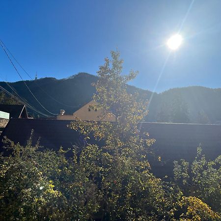 ブラショフ Retro House Mountain Viewヴィラ エクステリア 写真