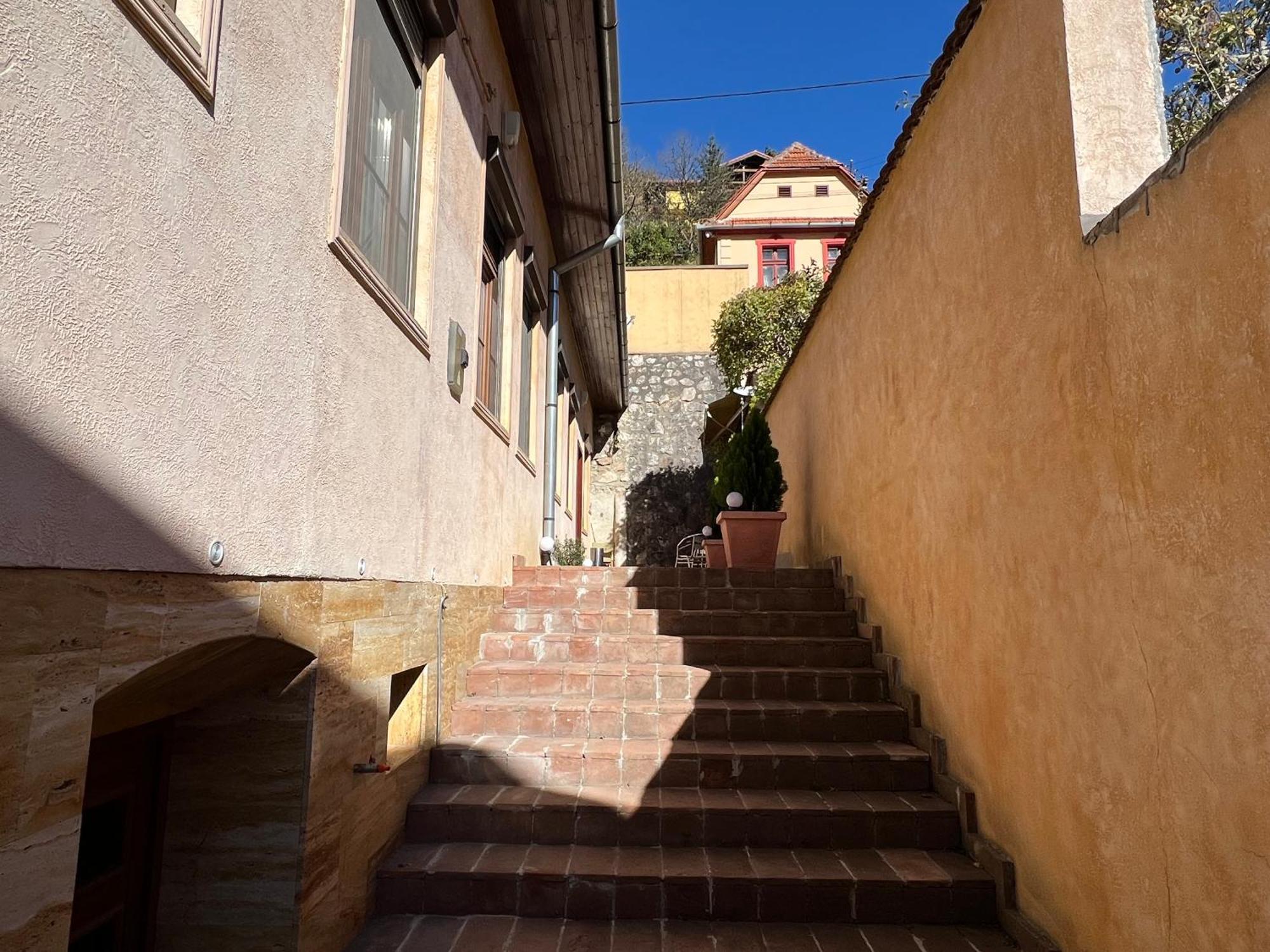 ブラショフ Retro House Mountain Viewヴィラ エクステリア 写真